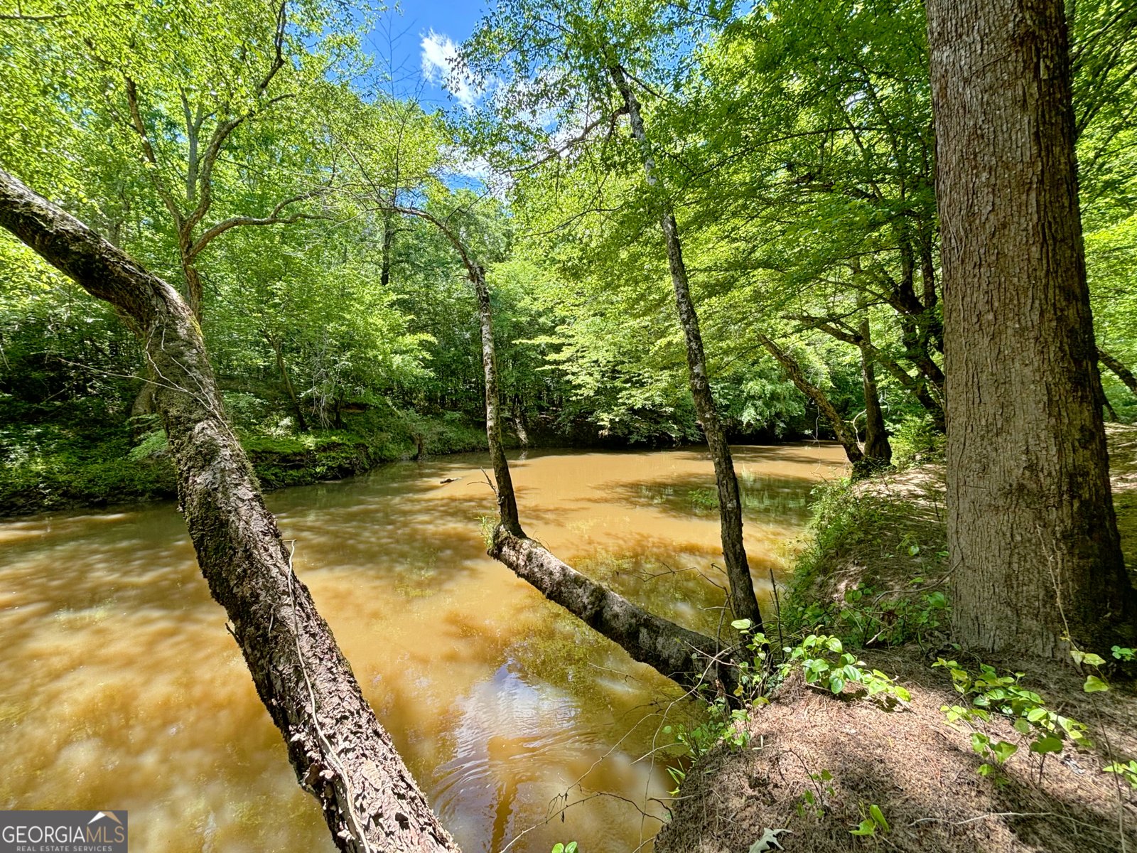 2520 Hollonville Road Brooks - 25