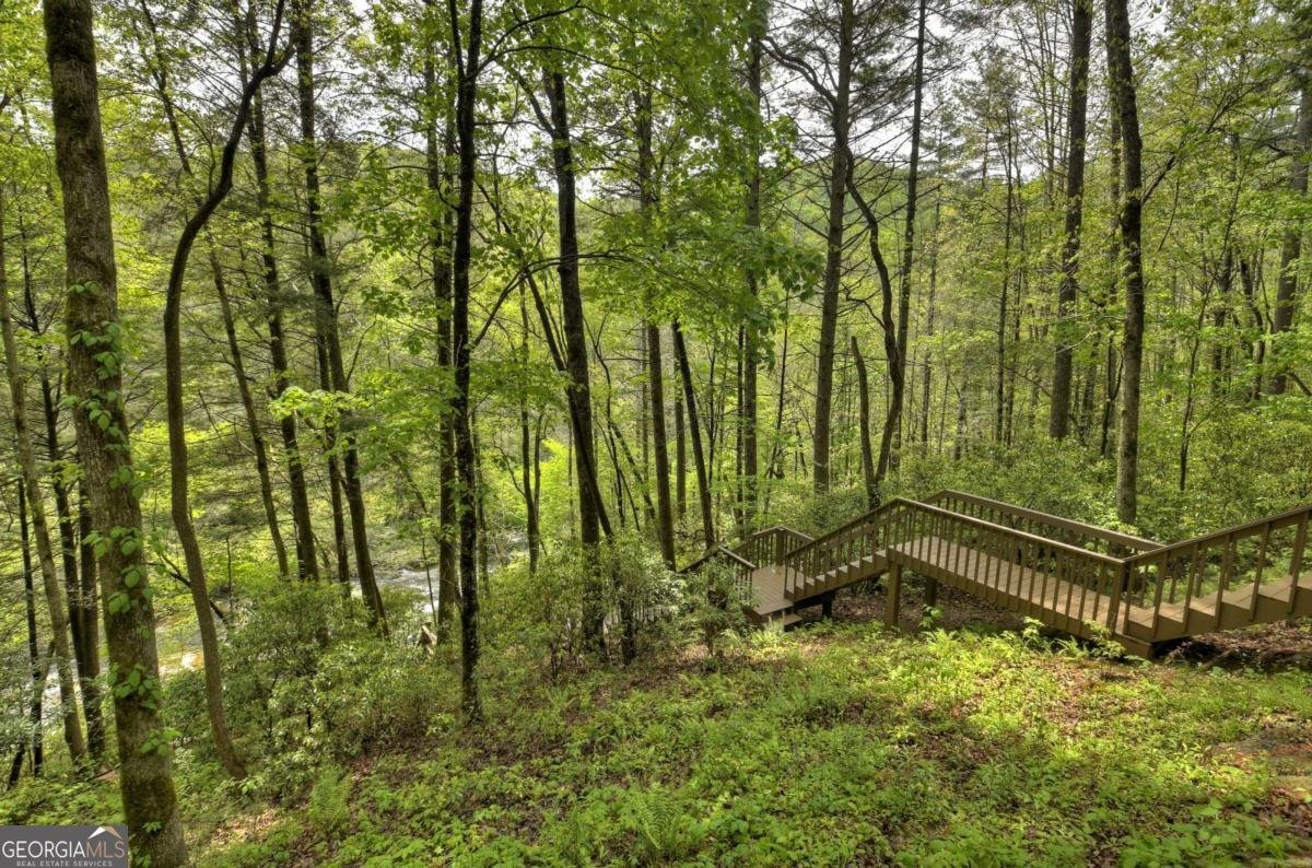 28452 Morganton Highway Suches - 49