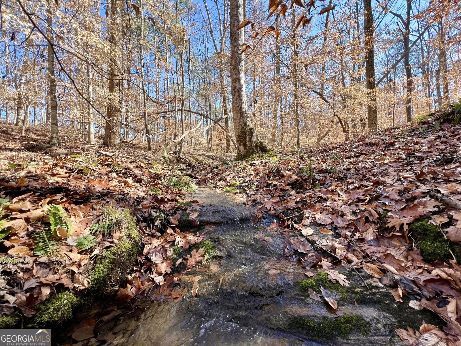 1806 Athens Highway Elberton - 22