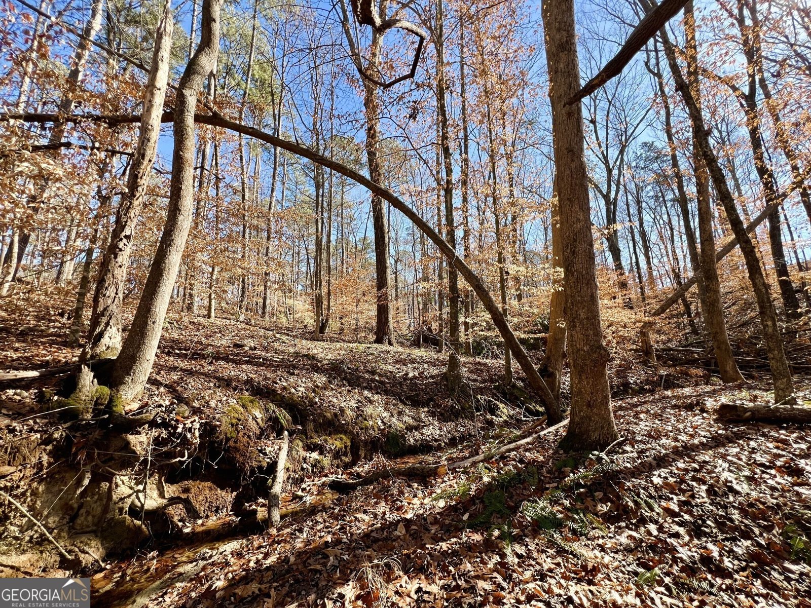 1806 Athens Highway Elberton - 24