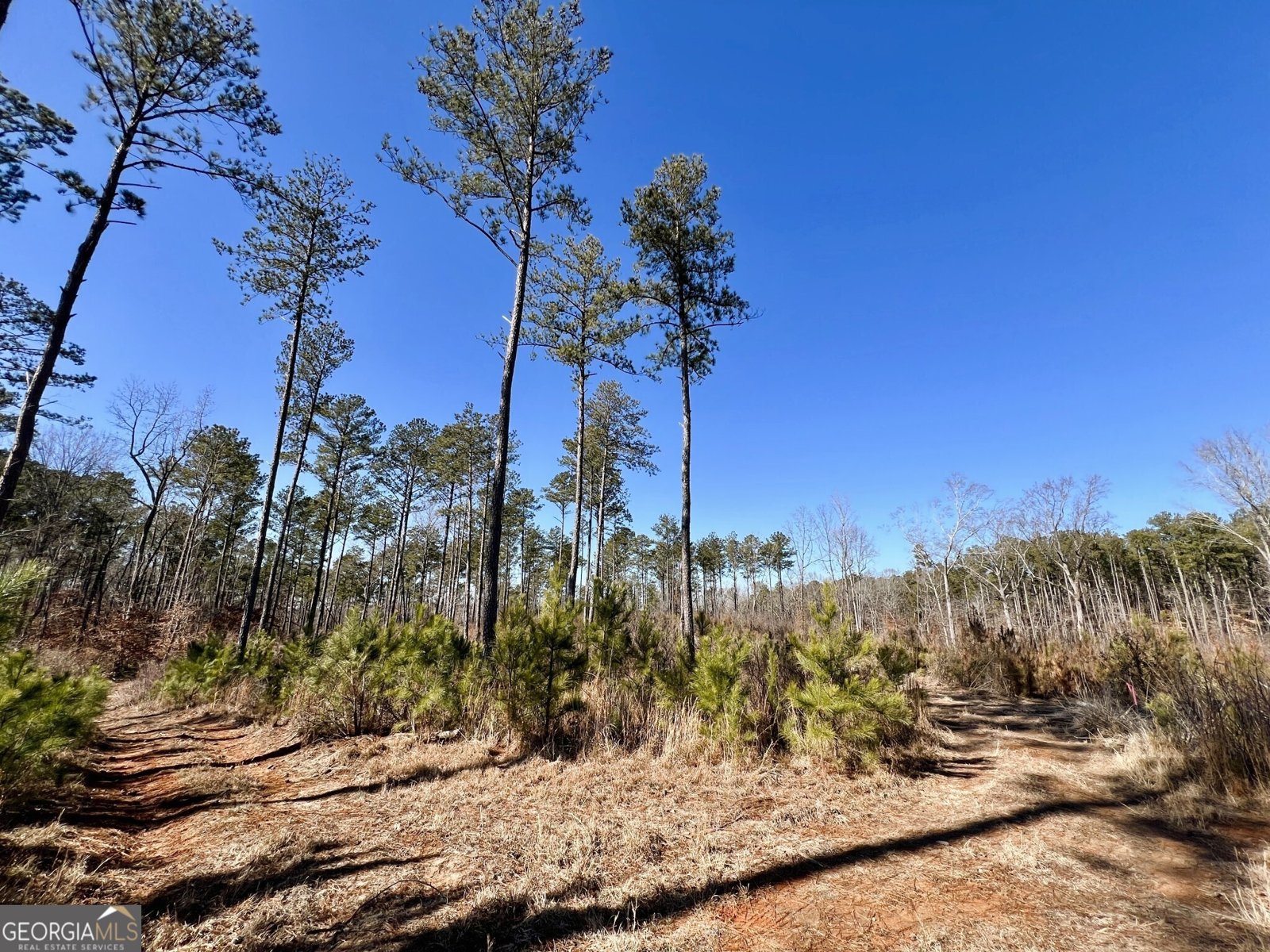 1806 Athens Highway Elberton - 25