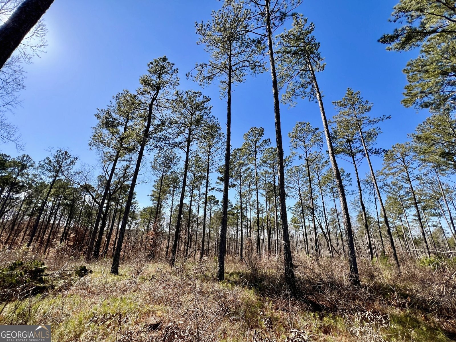 1806 Athens Highway Elberton - 26