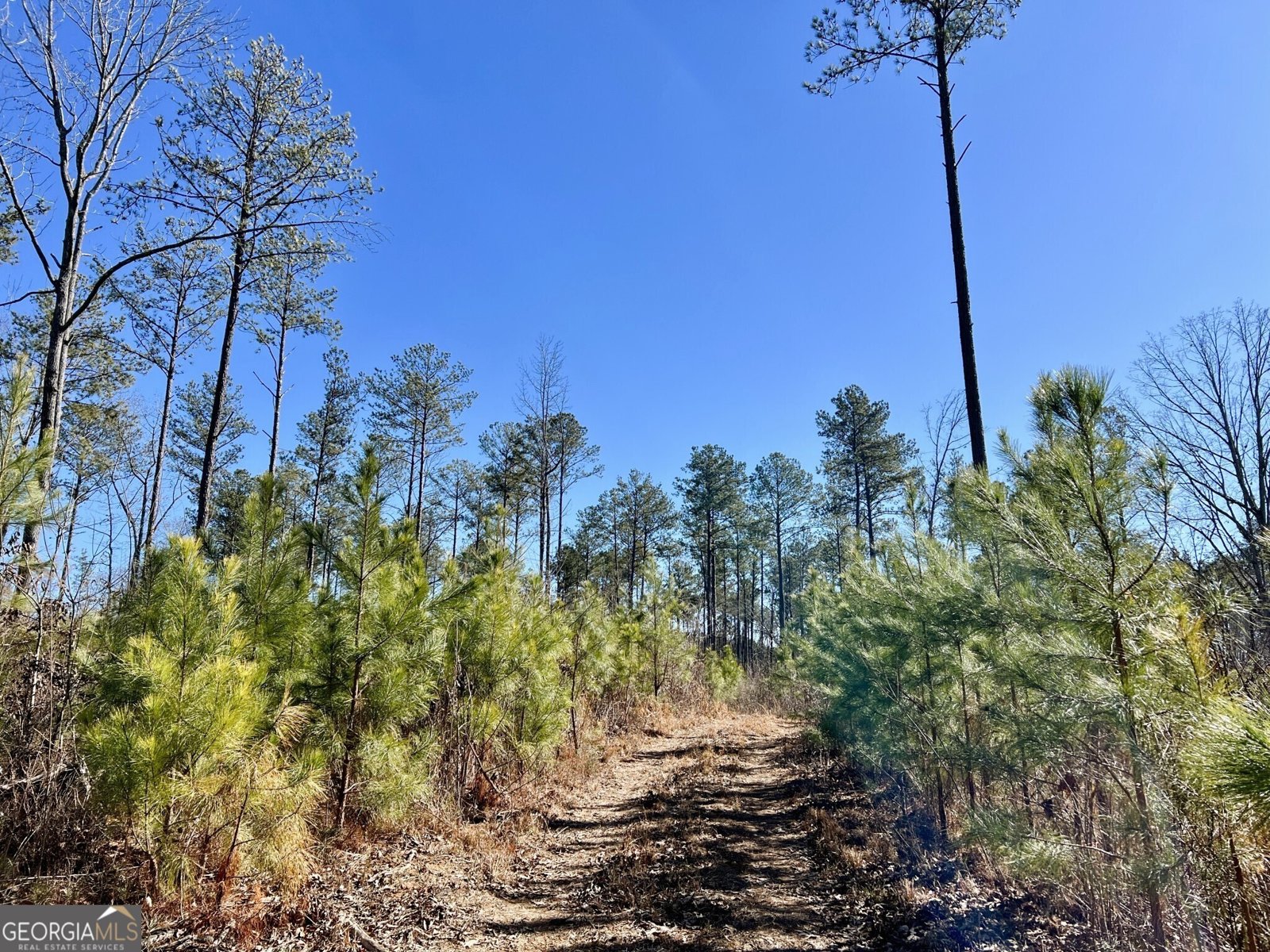 1806 Athens Highway Elberton - 27