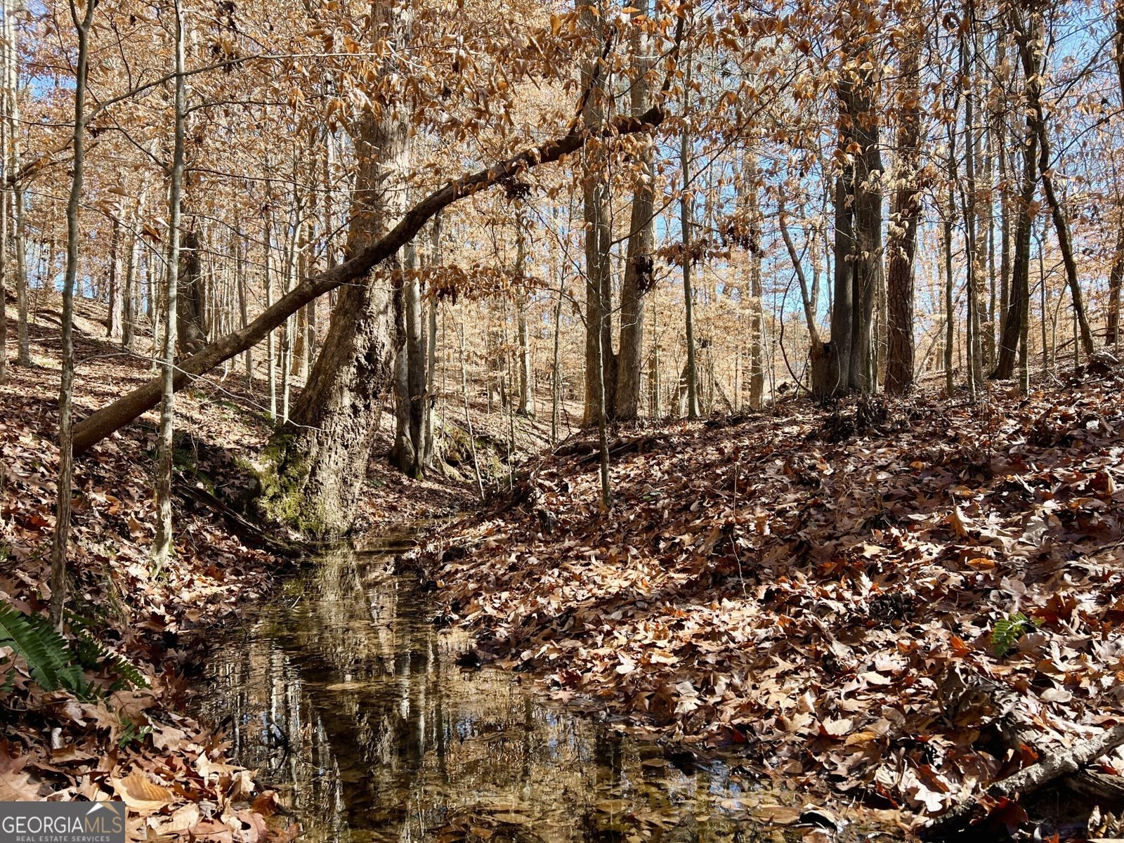 1806 Athens Highway Elberton - 28