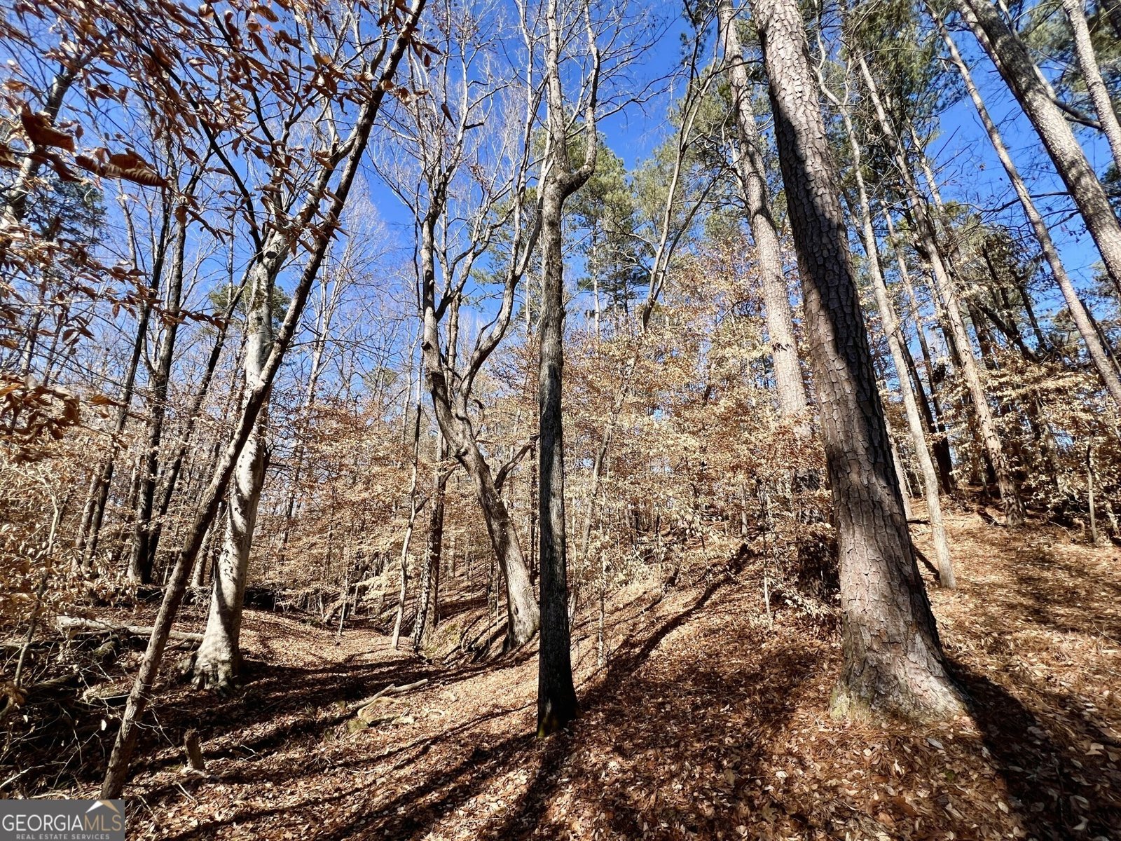 1806 Athens Highway Elberton - 29