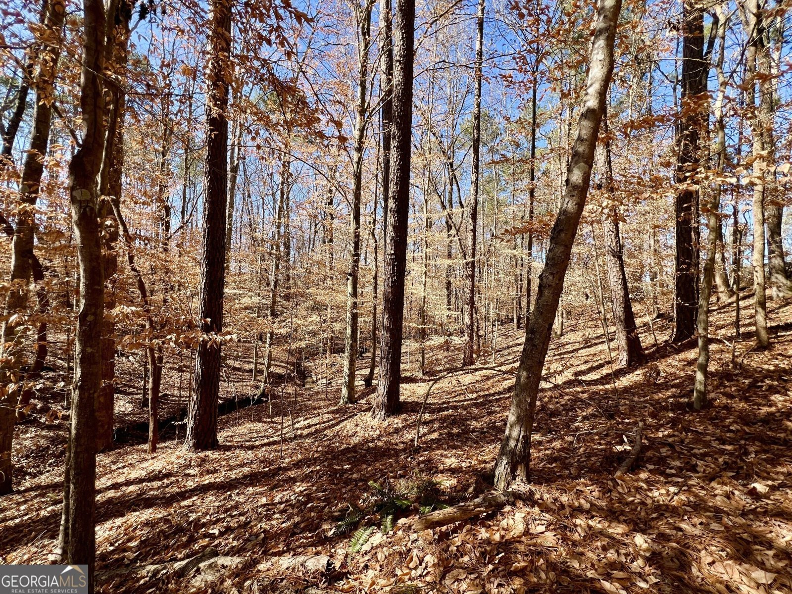 1806 Athens Highway Elberton - 30