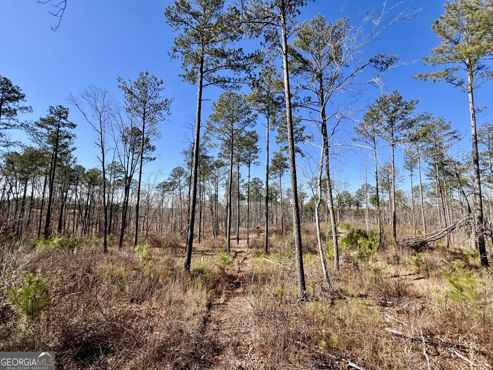 1806 Athens Highway Elberton - 32