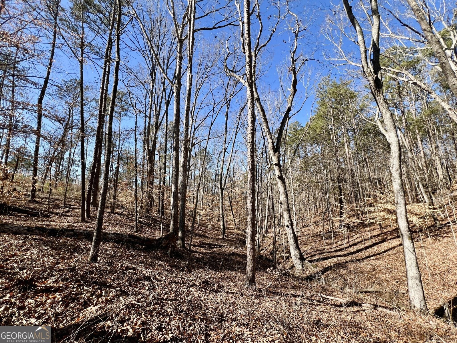 1806 Athens Highway Elberton - 33