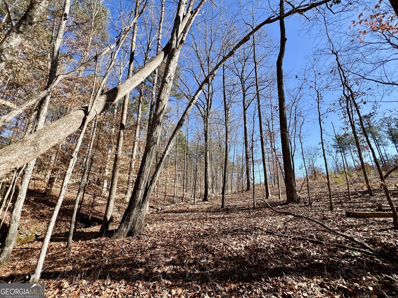 1806 Athens Highway Elberton - 34