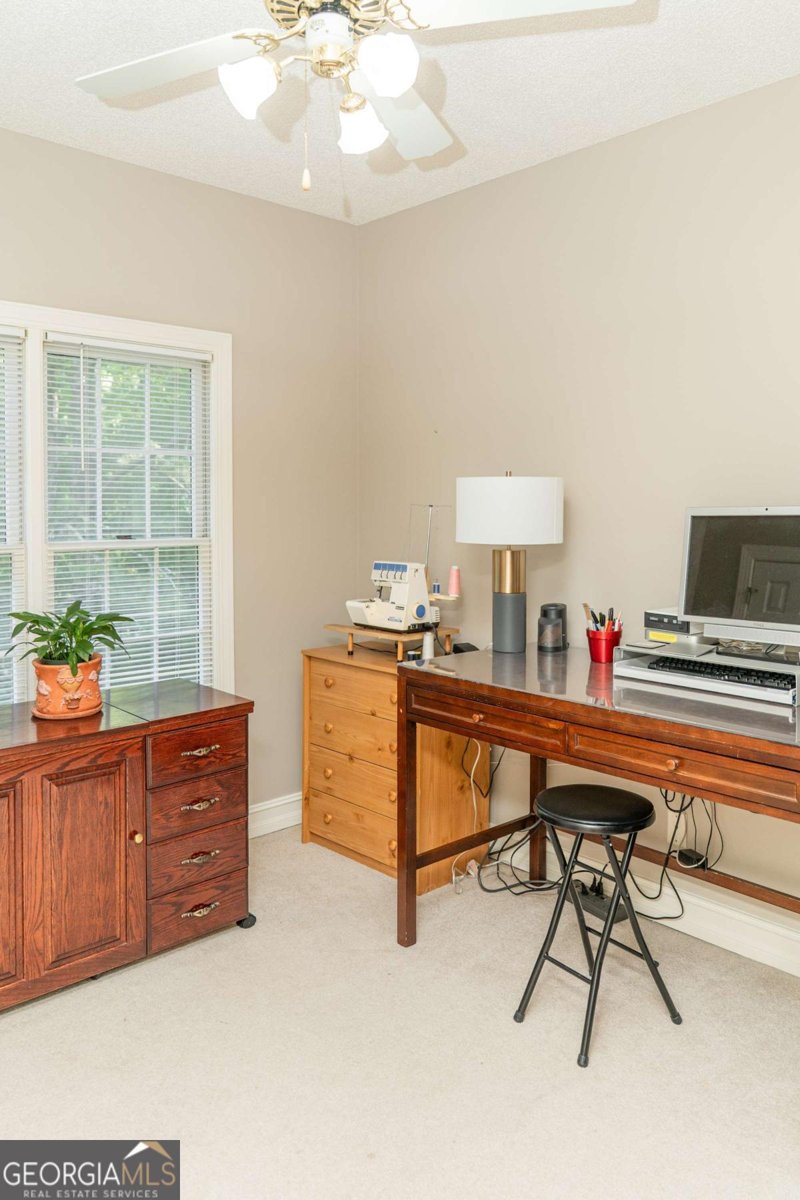 17 Hampton Way Carrollton - 32