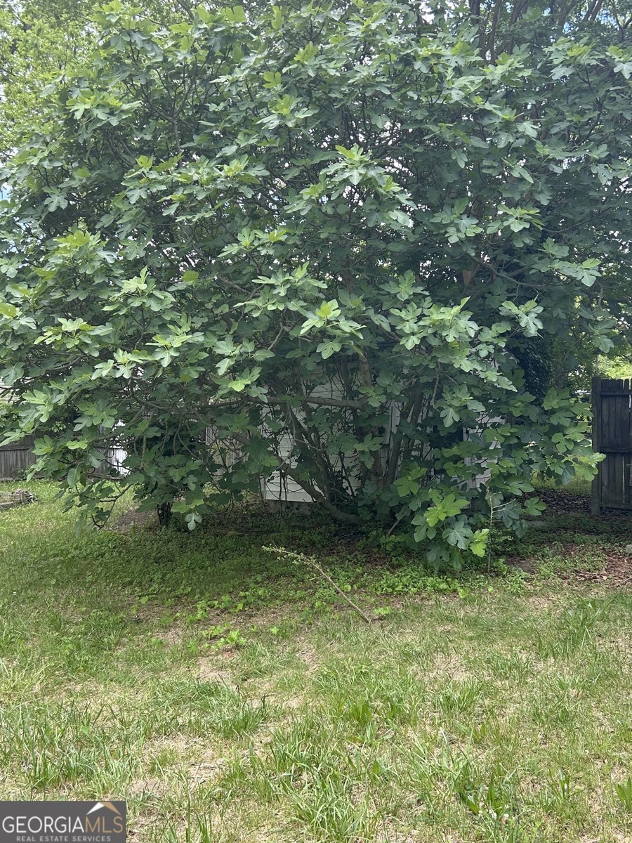 84 Bowers Street Bowman - 6