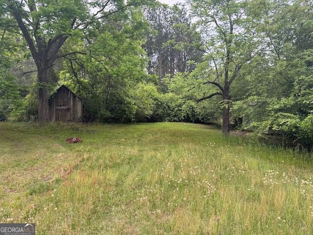 10661 Ga Highway 15 Warthen - 17