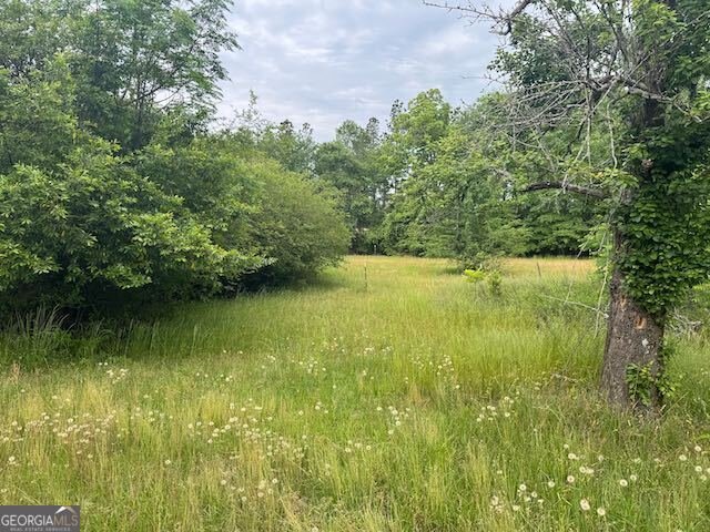 10661 Ga Highway 15 Warthen - 18