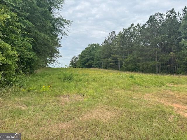 10661 Ga Highway 15 Warthen - 19