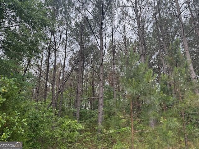 10661 Ga Highway 15 Warthen - 20