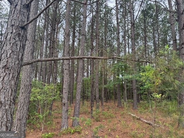 10661 Ga Highway 15 Warthen - 21