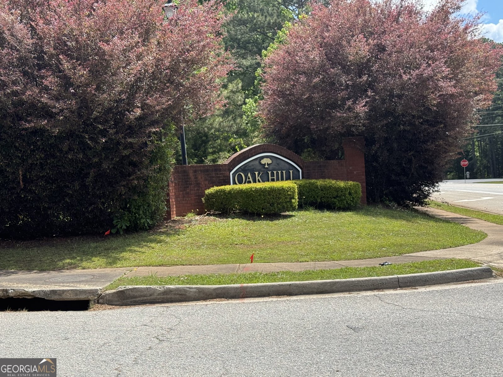 85 Creekside Trail Covington - 2