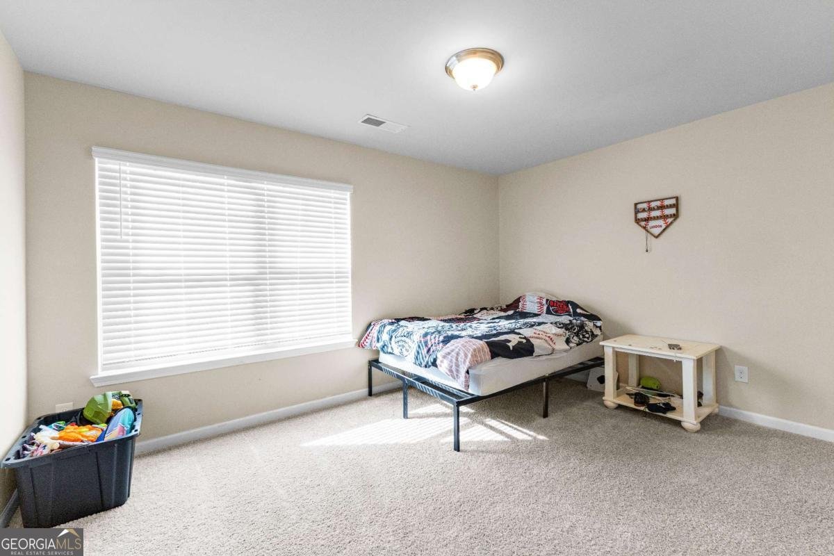155 Filson Drive Senoia - 24
