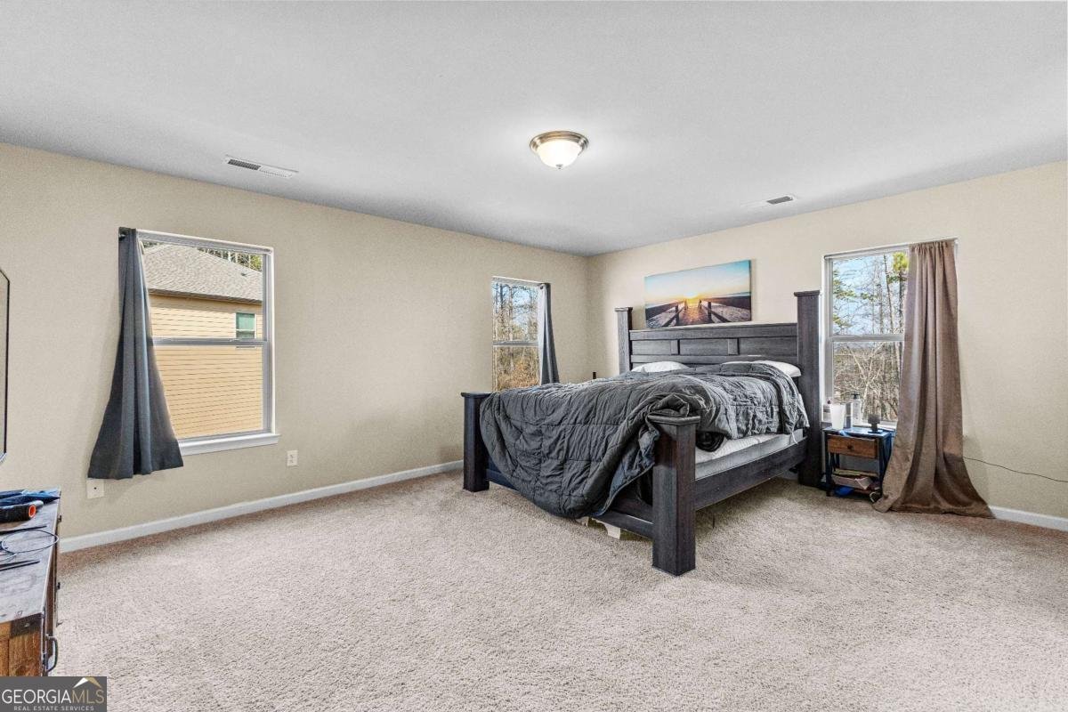 155 Filson Drive Senoia - 32
