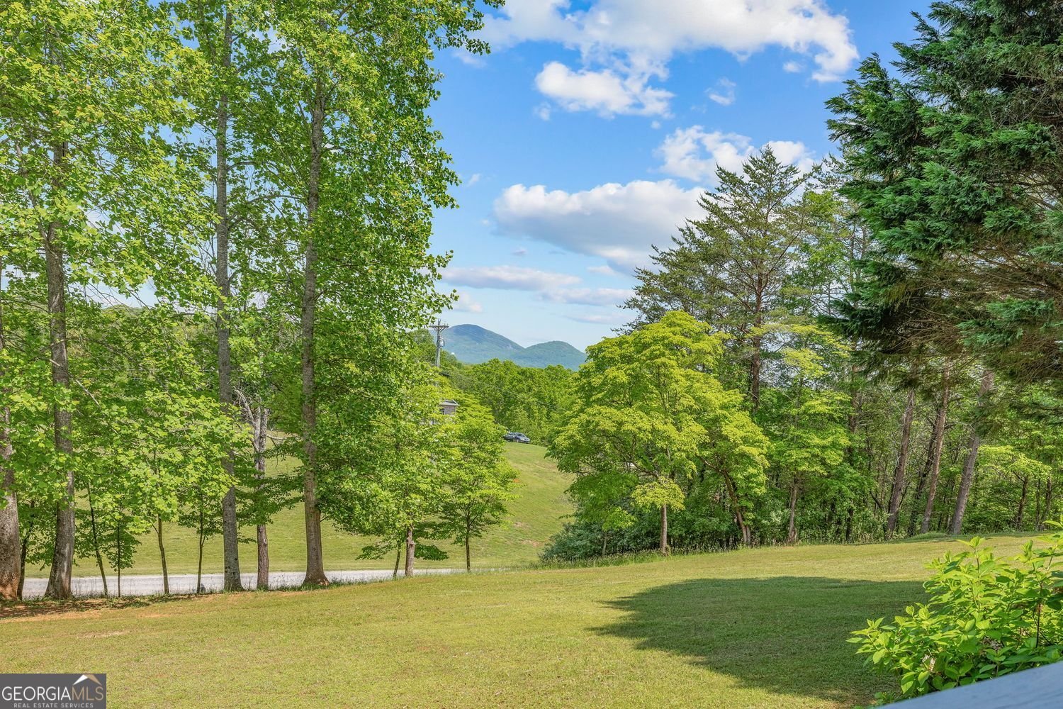 303 Jennys Cove Road Cleveland - 8