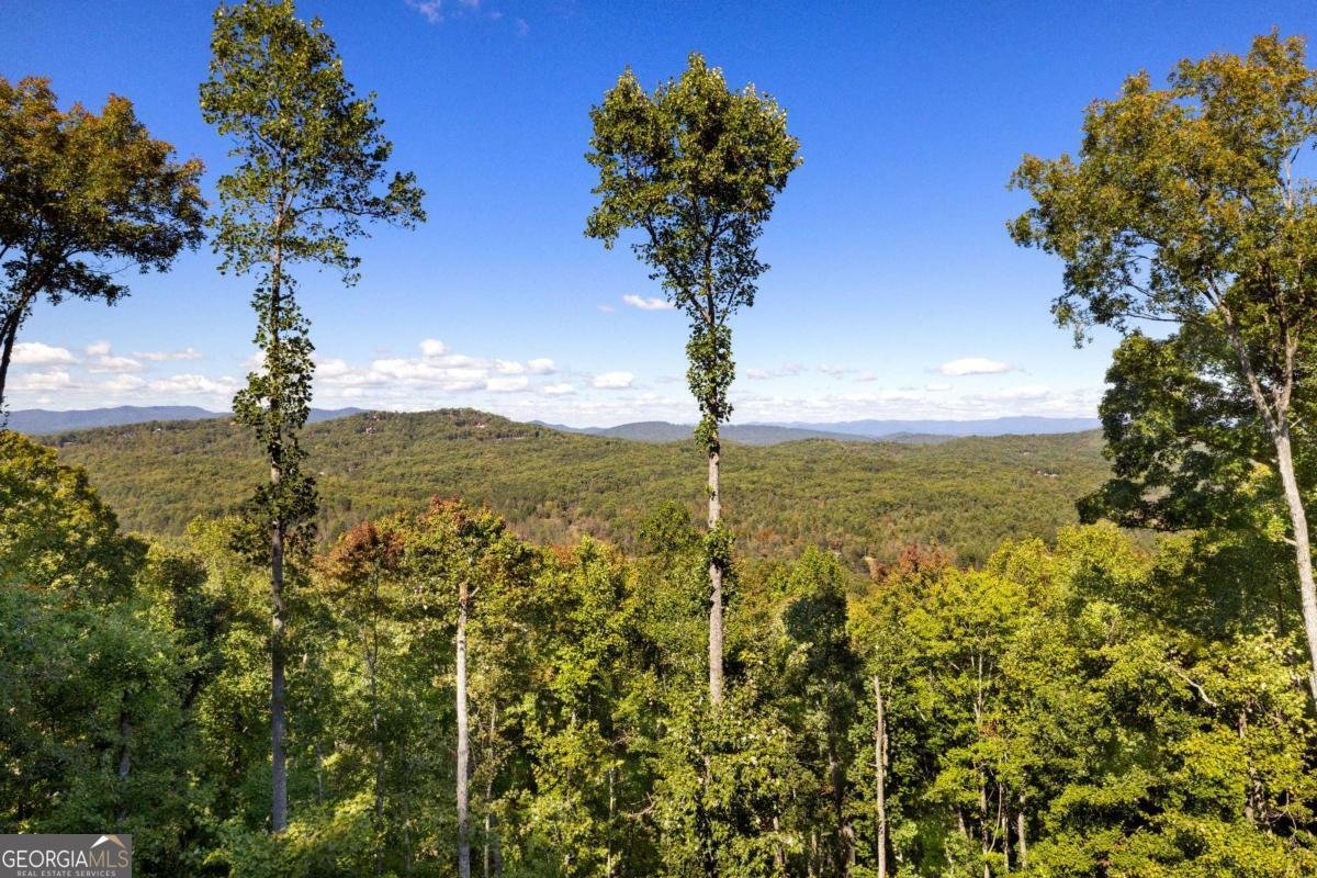 714 Scouts Overlook Morganton - 12