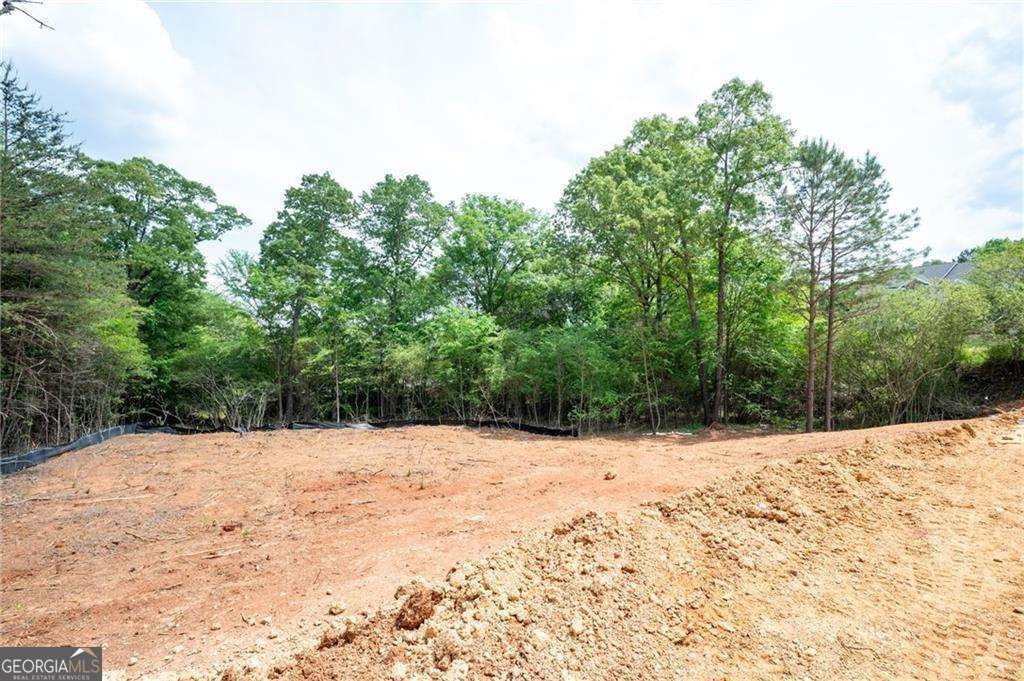 365 Riverboat Drive Adairsville - 12