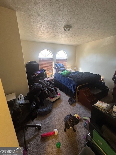 185 Windhaven Trail Atlanta - 12
