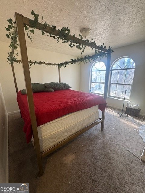 185 Windhaven Trail Atlanta - 6