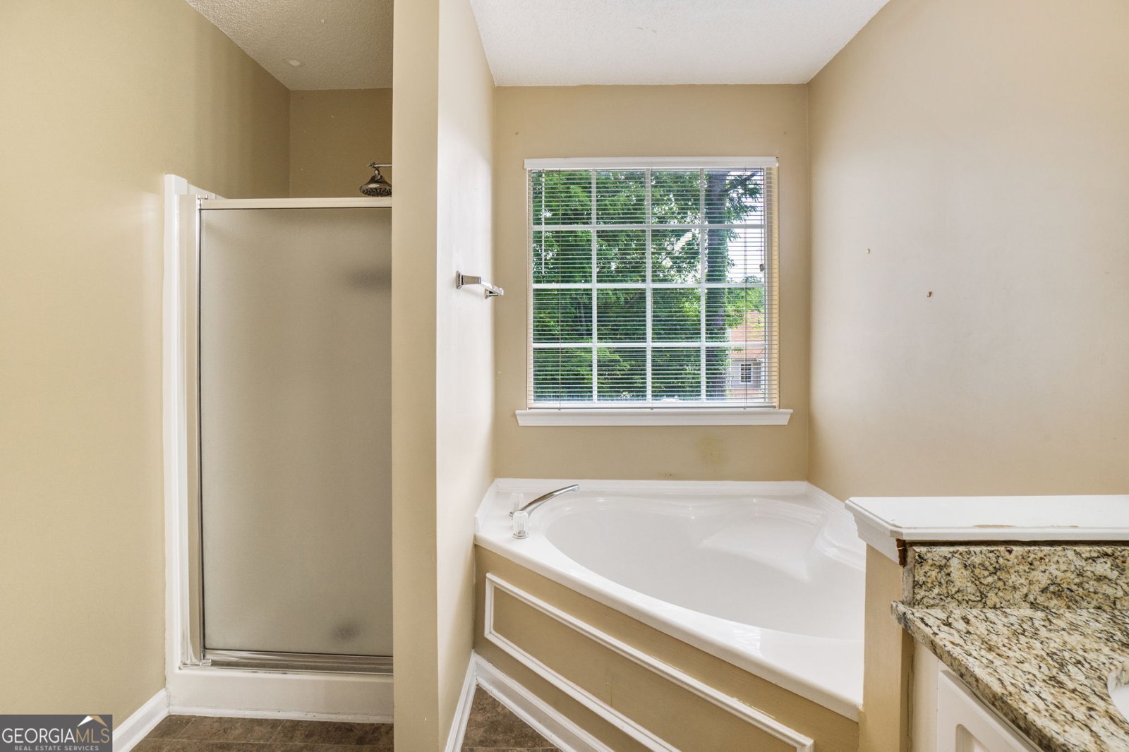 3550 WILLOW TREE Trace Decatur - 24
