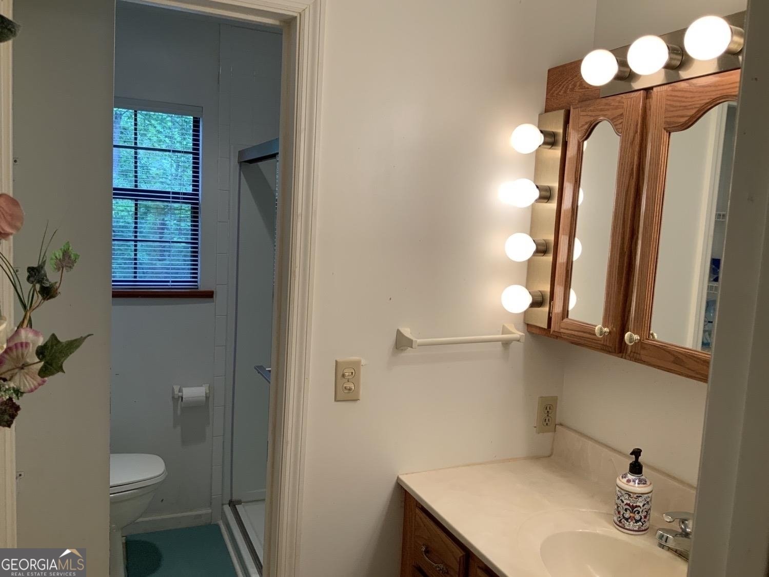 277 Hamilton Road Blairsville - 12