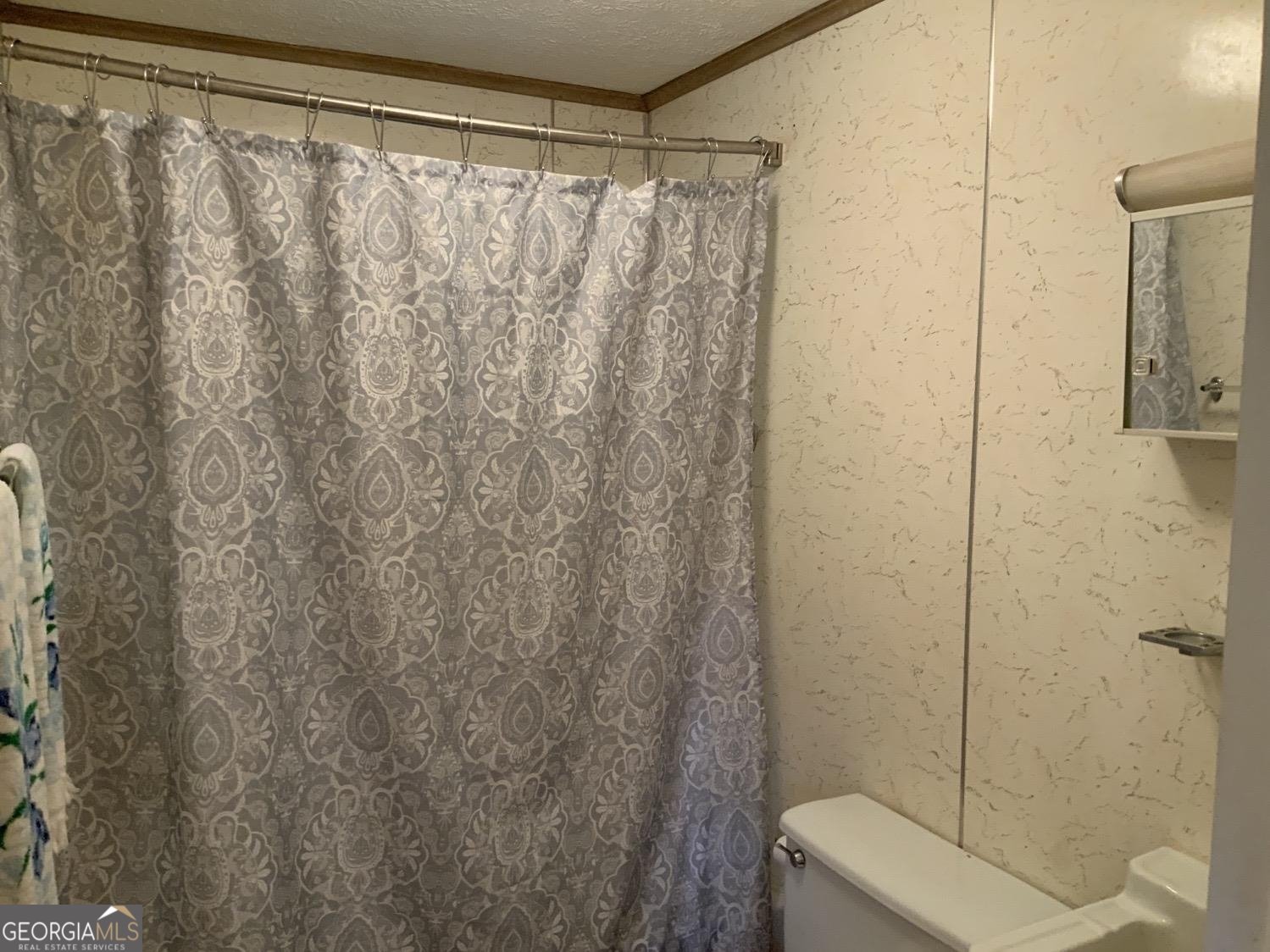 277 Hamilton Road Blairsville - 17