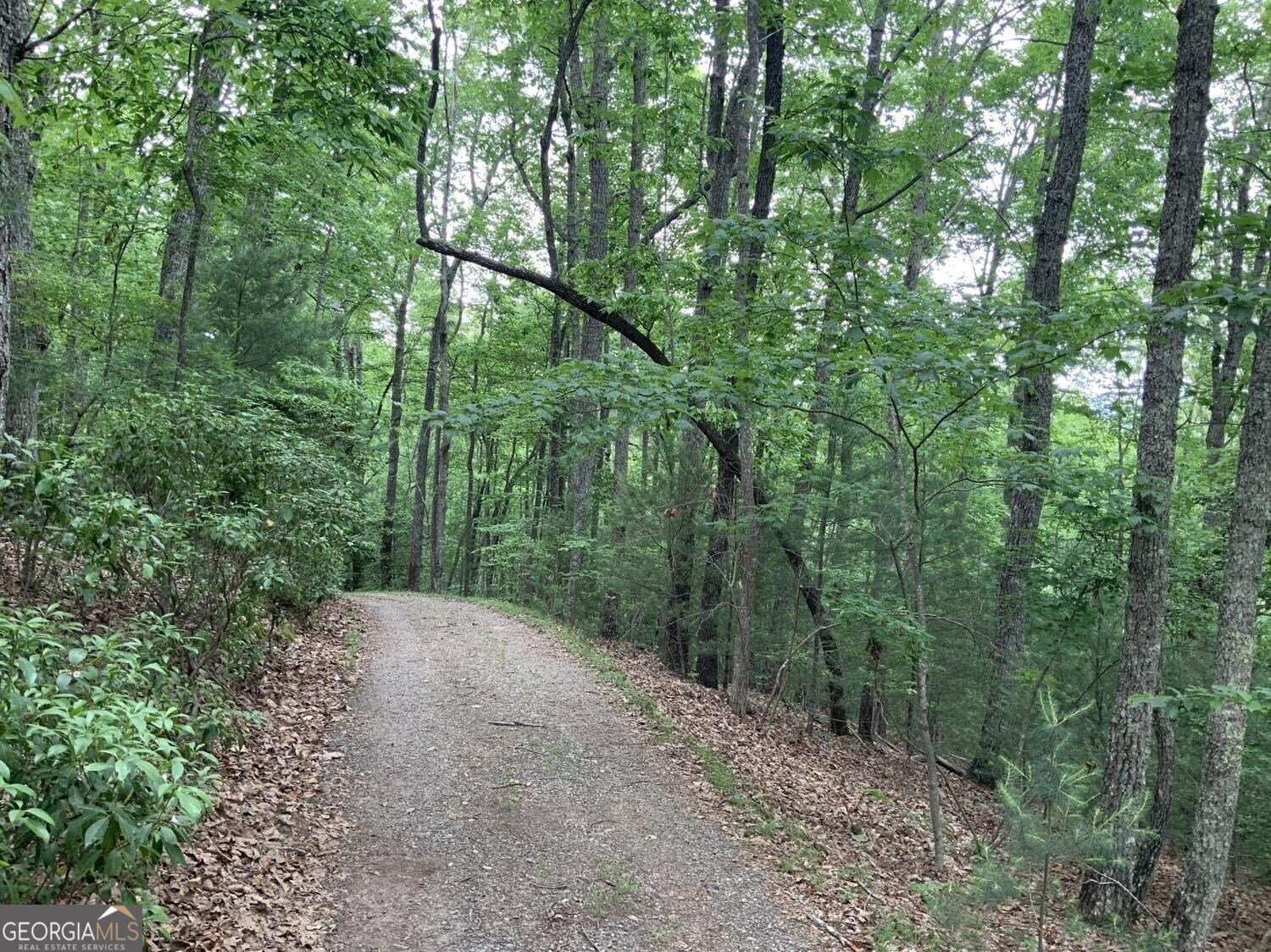 277 Hamilton Road Blairsville - 22