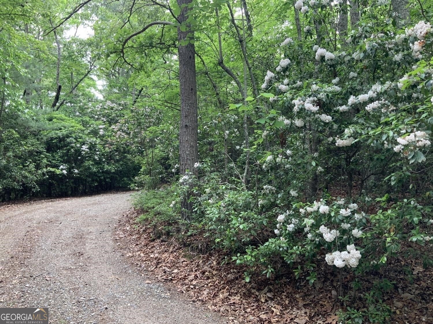277 Hamilton Road Blairsville - 23