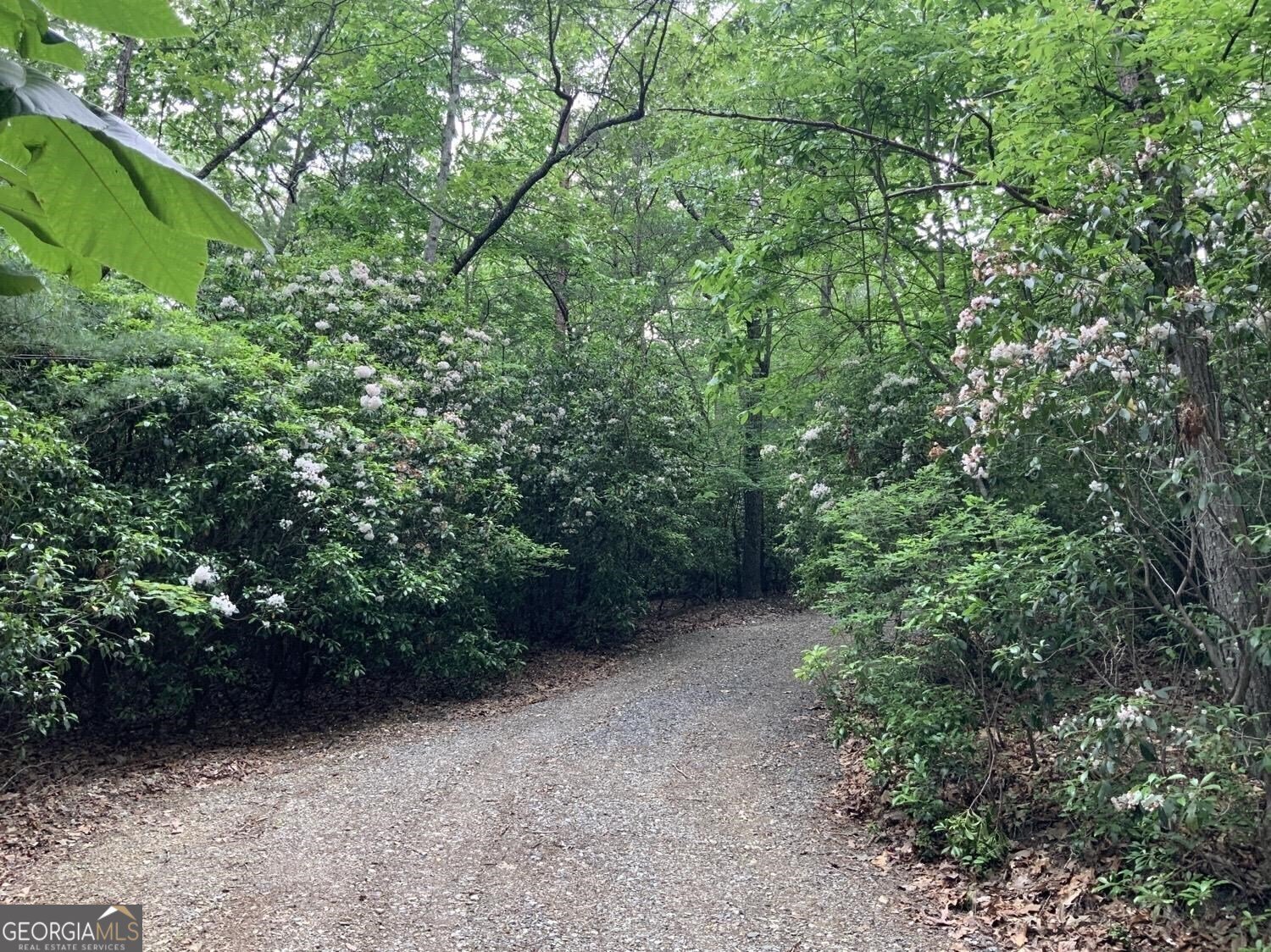 277 Hamilton Road Blairsville - 24