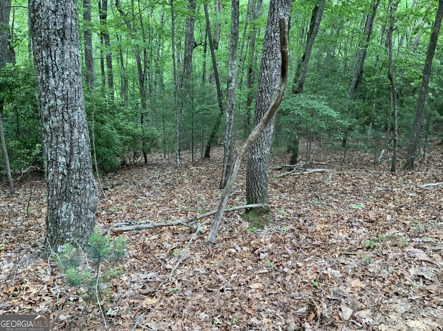 277 Hamilton Road Blairsville - 25