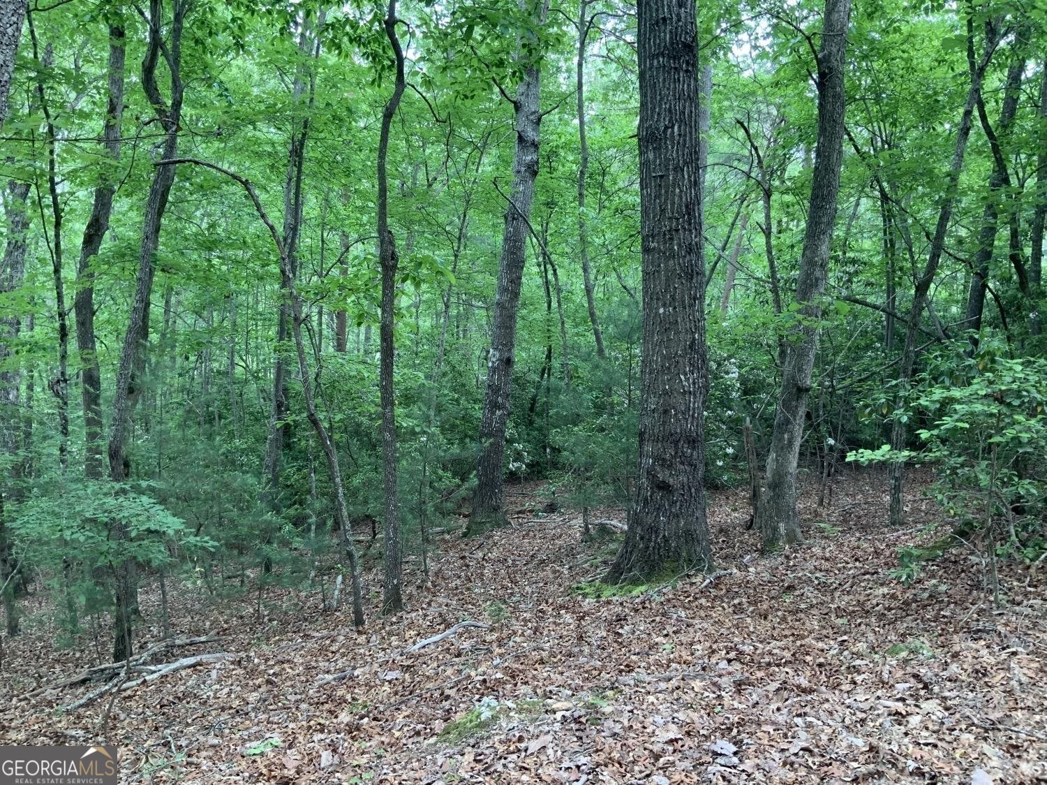 277 Hamilton Road Blairsville - 26
