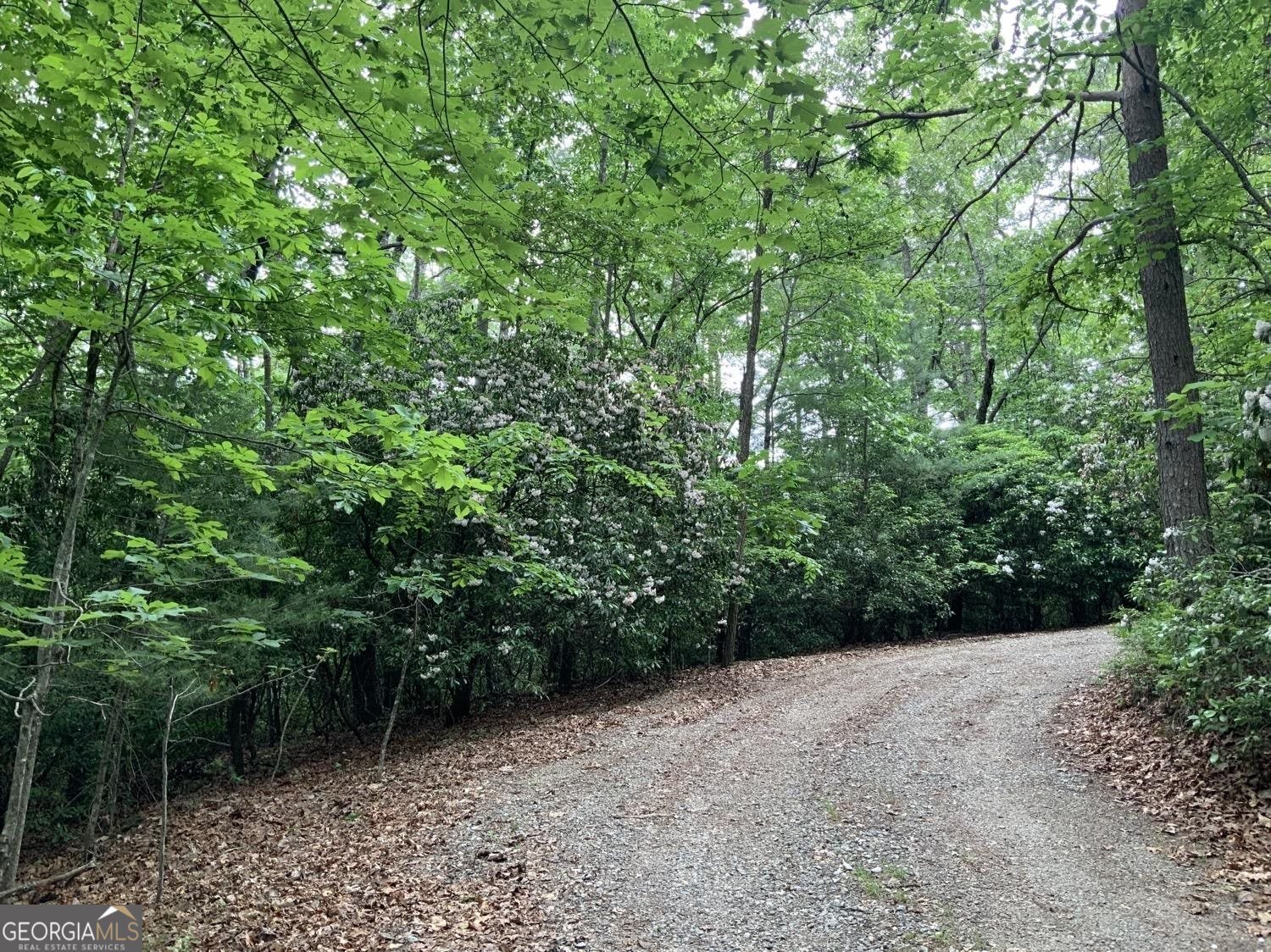 277 Hamilton Road Blairsville - 3