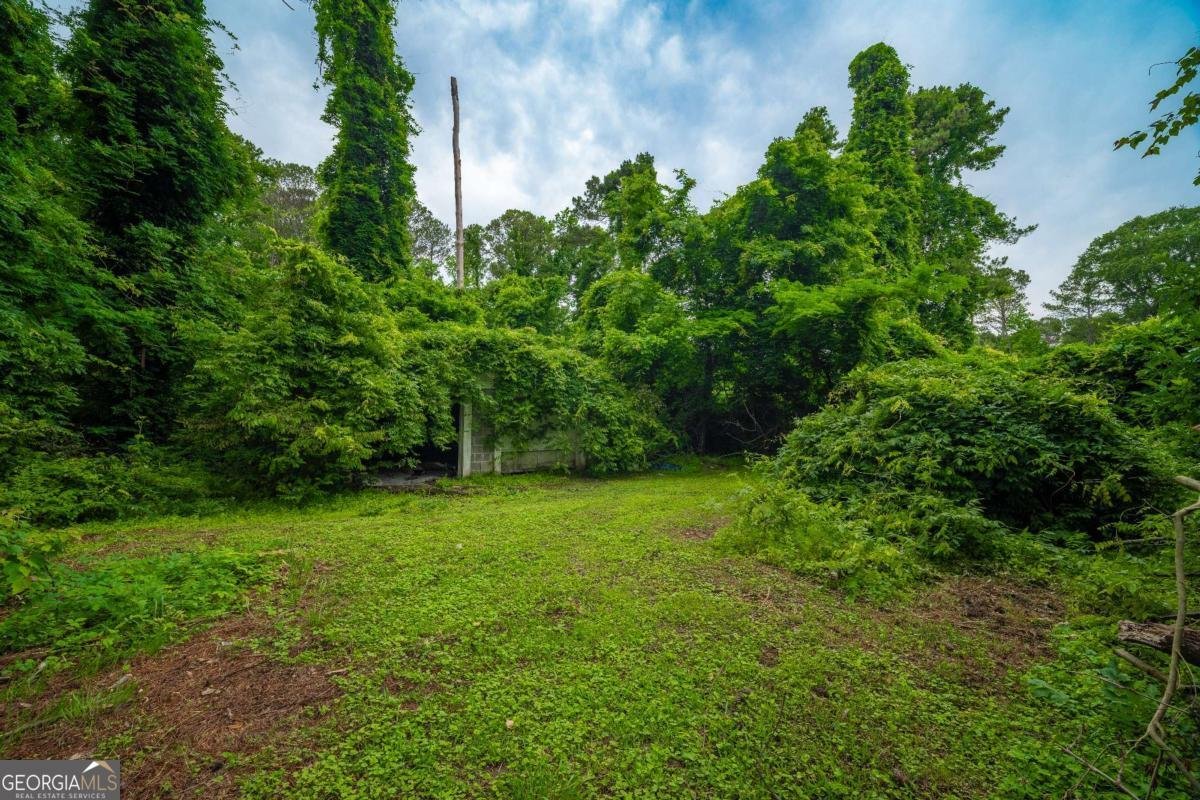 2137 Delowe Drive Atlanta - 29