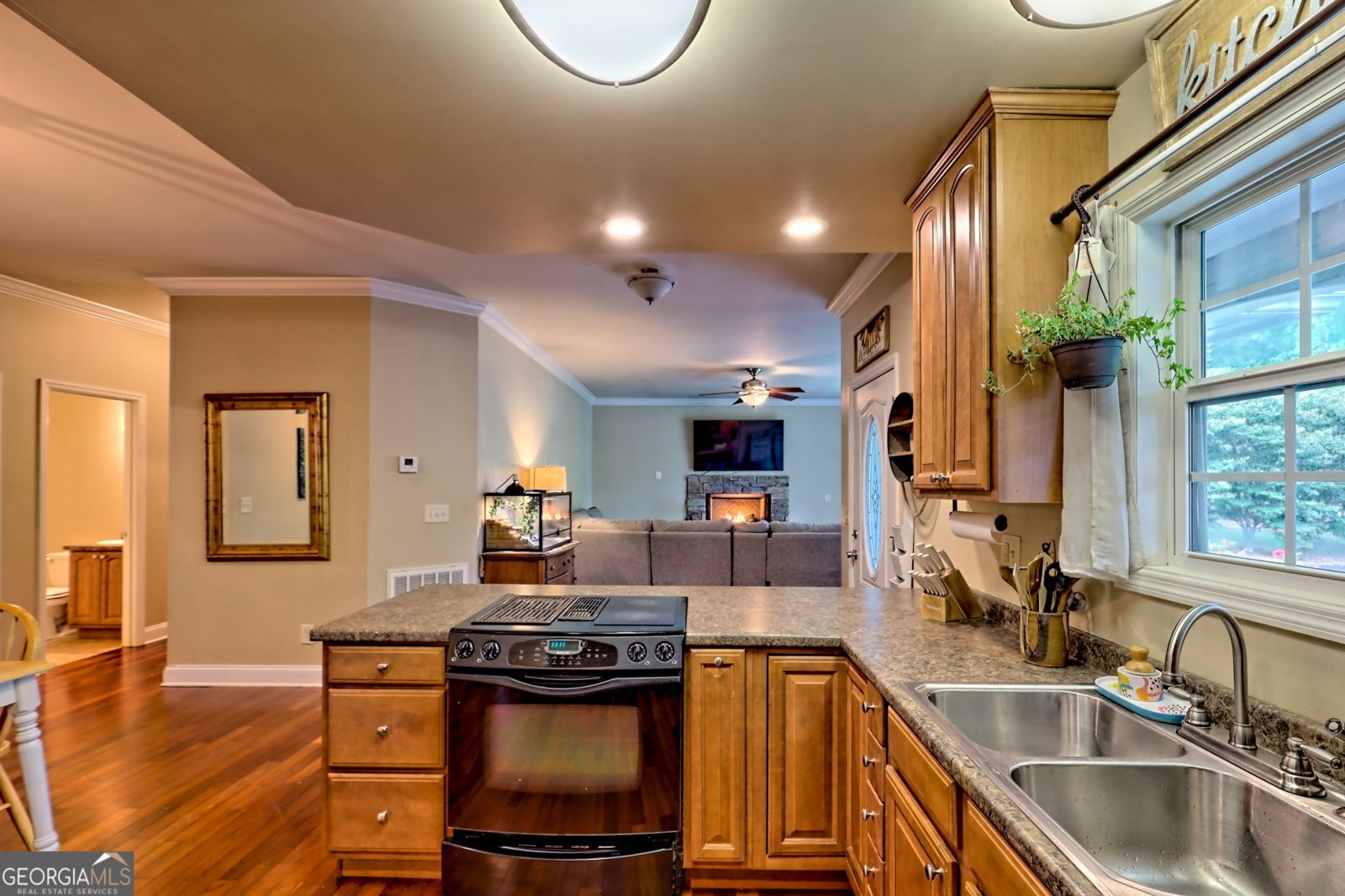 2501 Leisure Lane Young Harris - 17