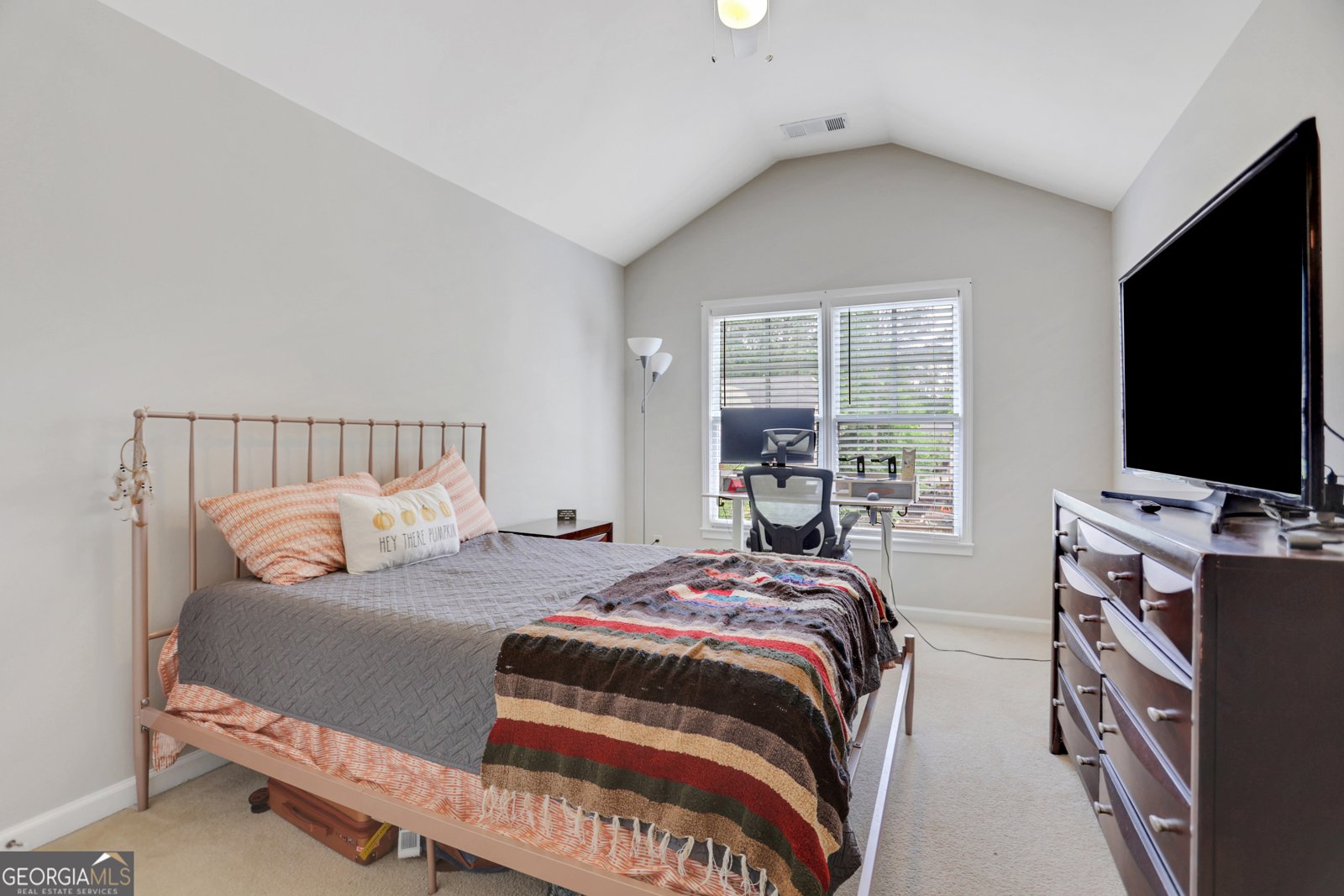 5143 Micaela Way Duluth - 19