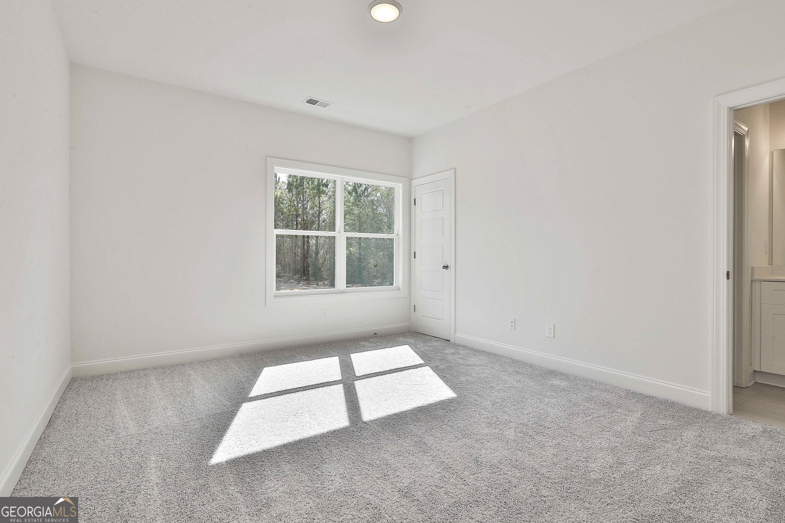 100 Cedara Drive Newnan - 30