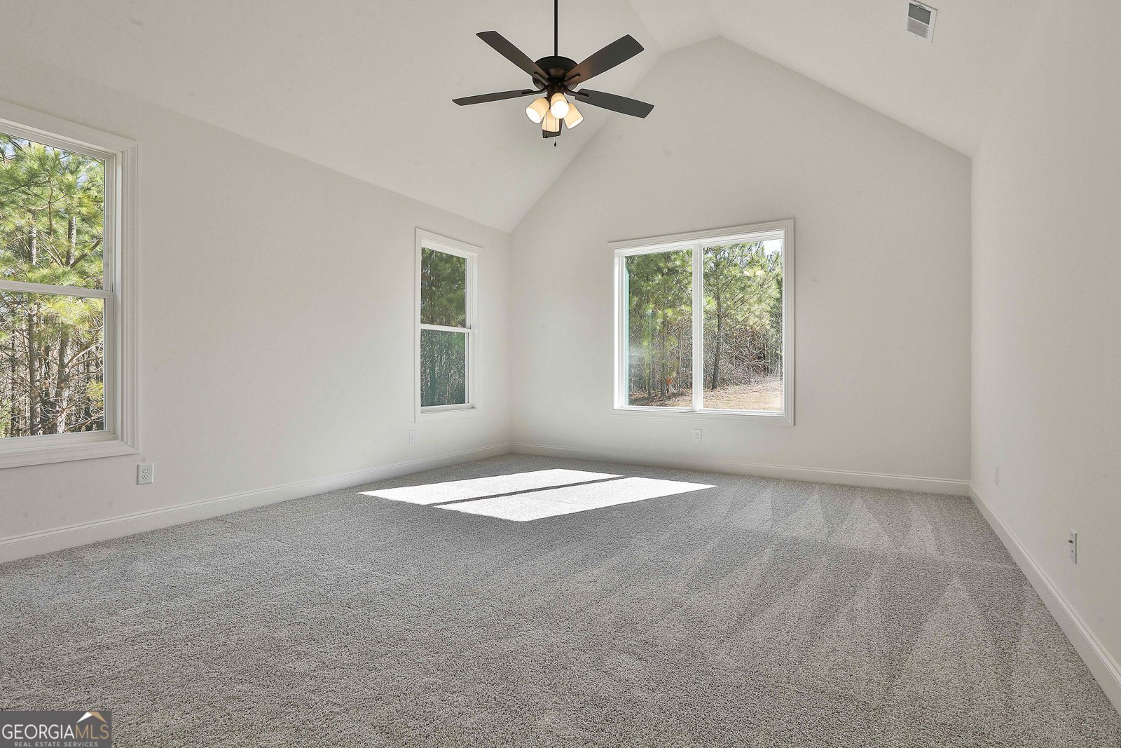 100 Cedara Drive Newnan - 34