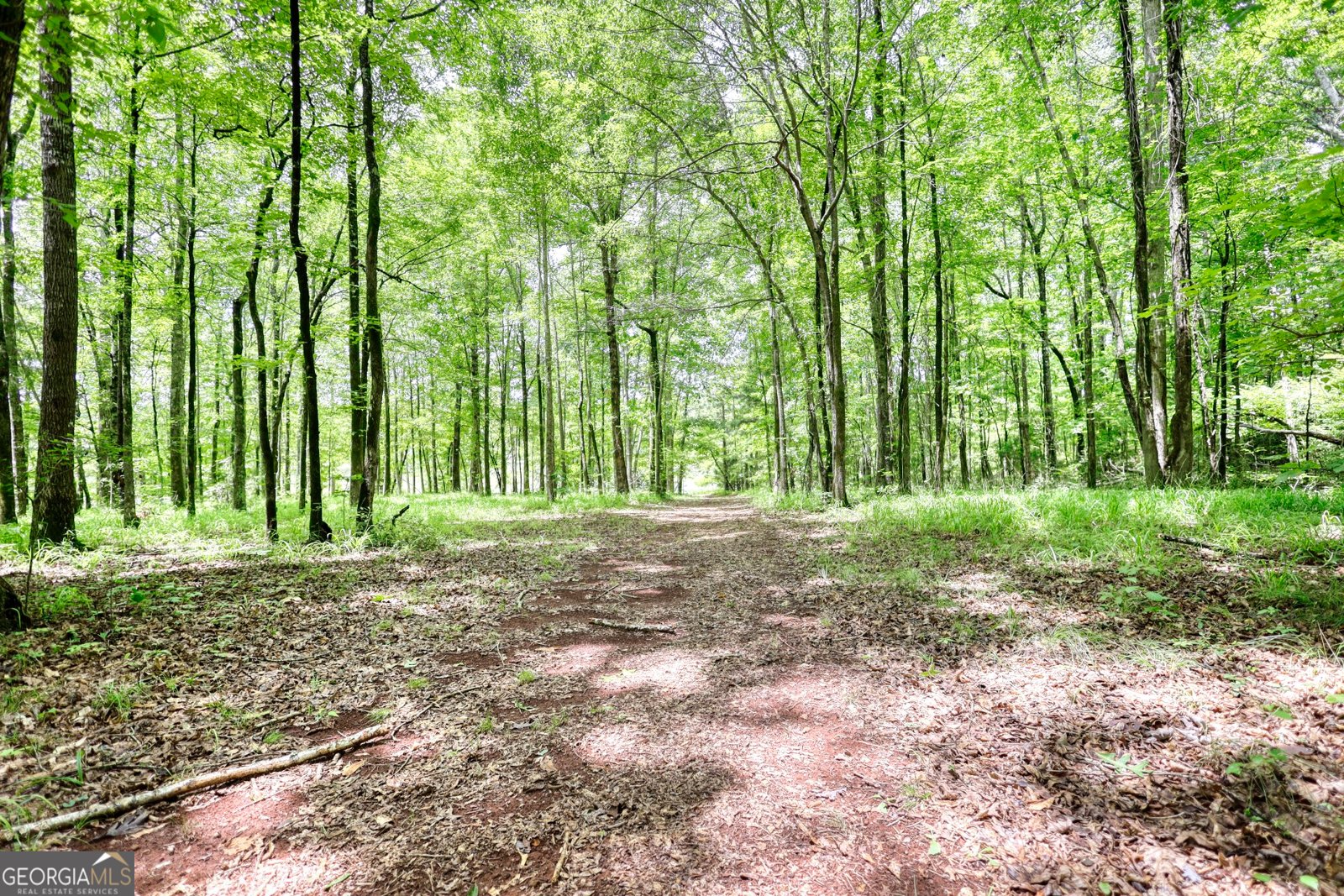 116 Woolsey Creek Trail Fayetteville - 114