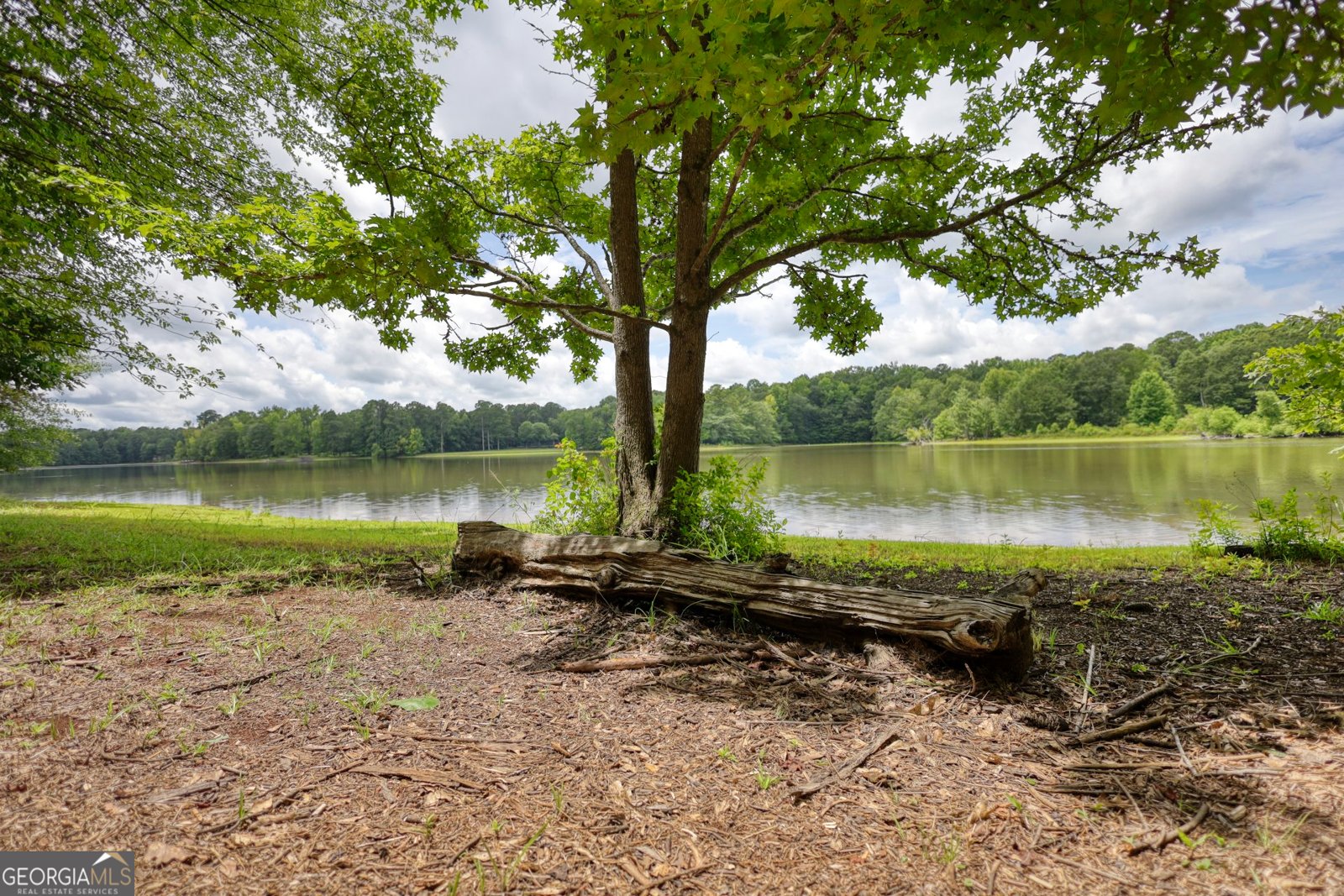 116 Woolsey Creek Trail Fayetteville - 116