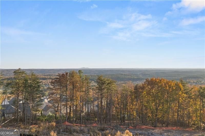 231 Laurel Vista Drive Canton - 54
