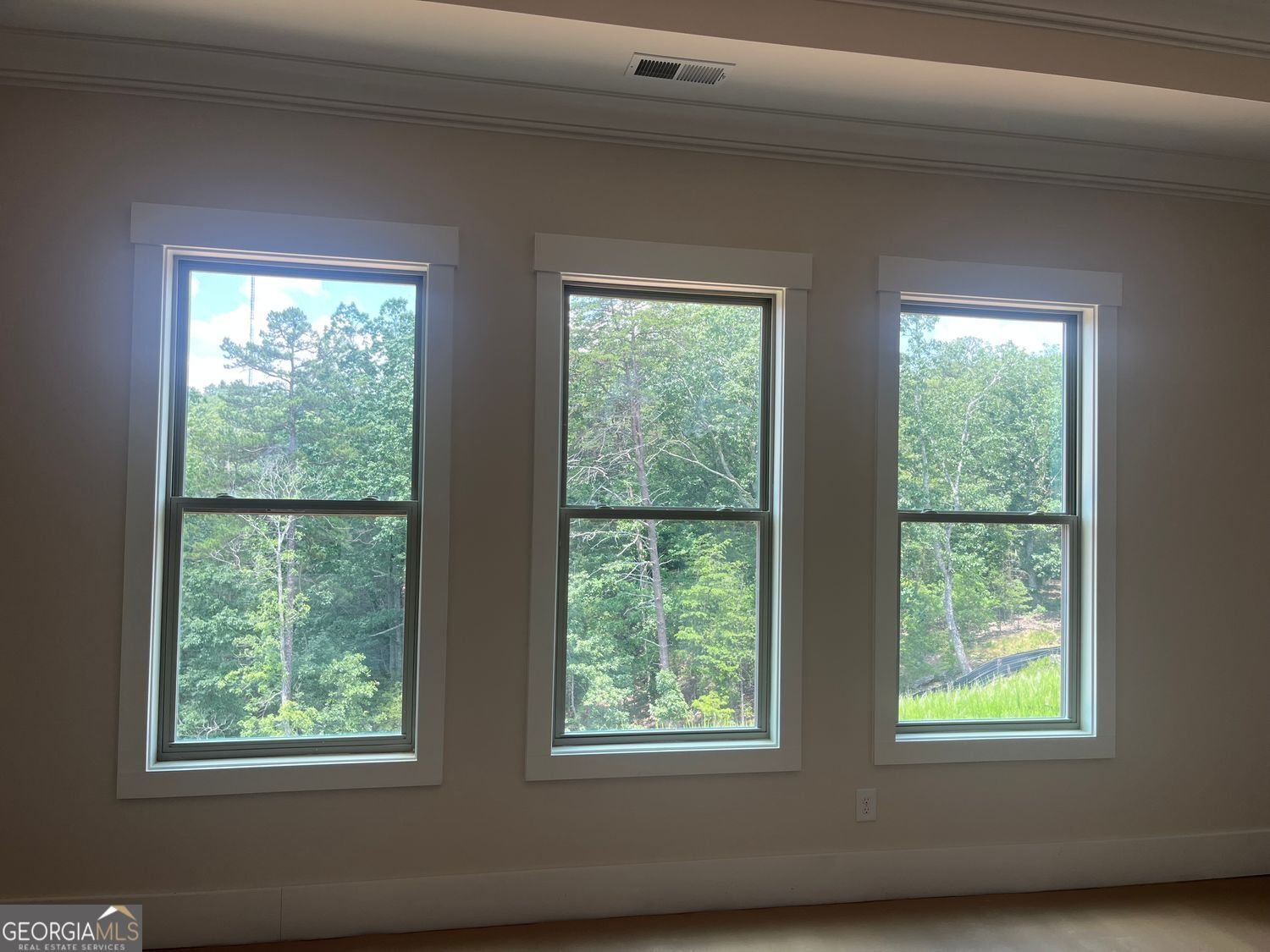 237 Laurel Vista Drive Canton - 20