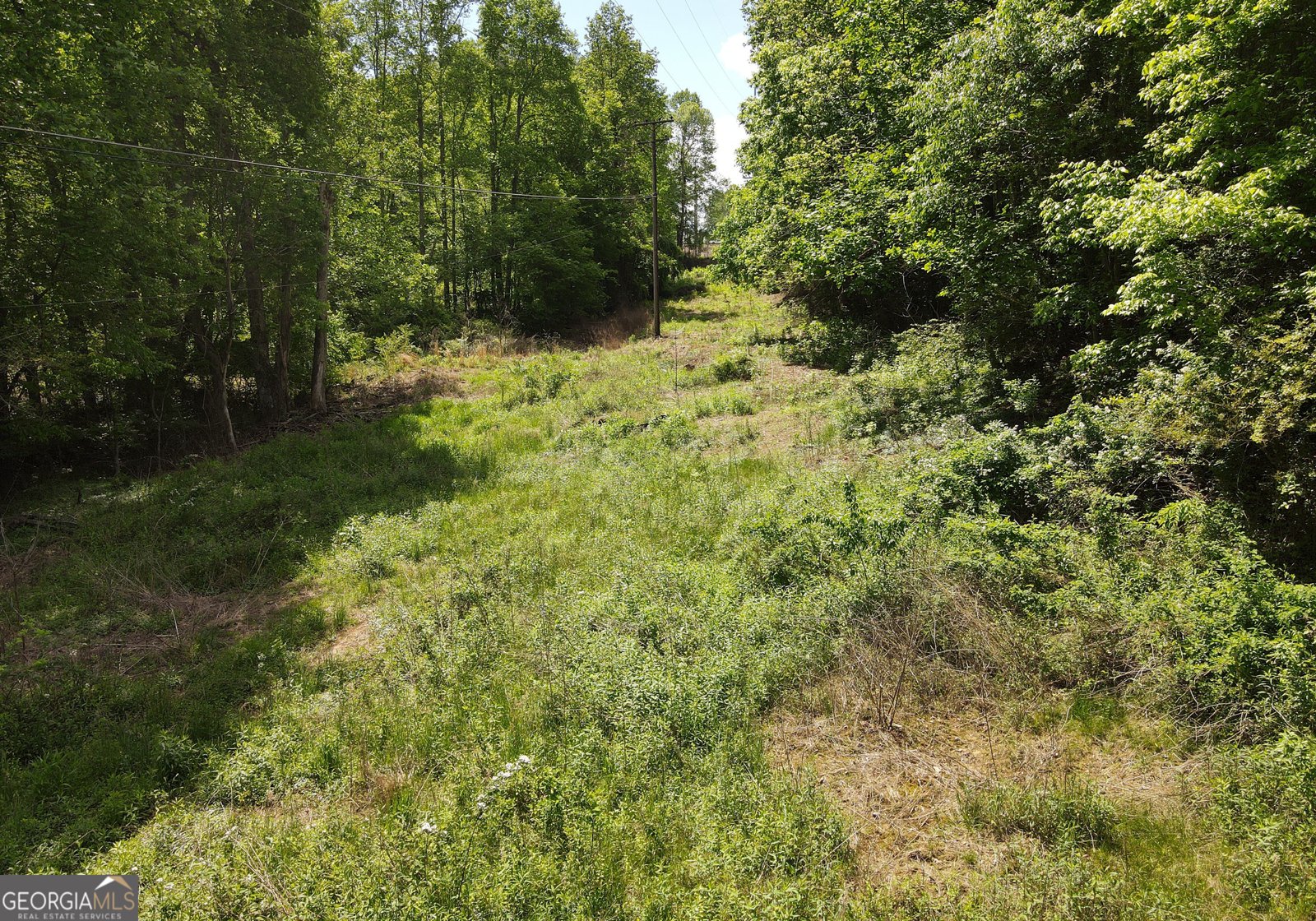 78 Reed White Drive Blairsville - 51
