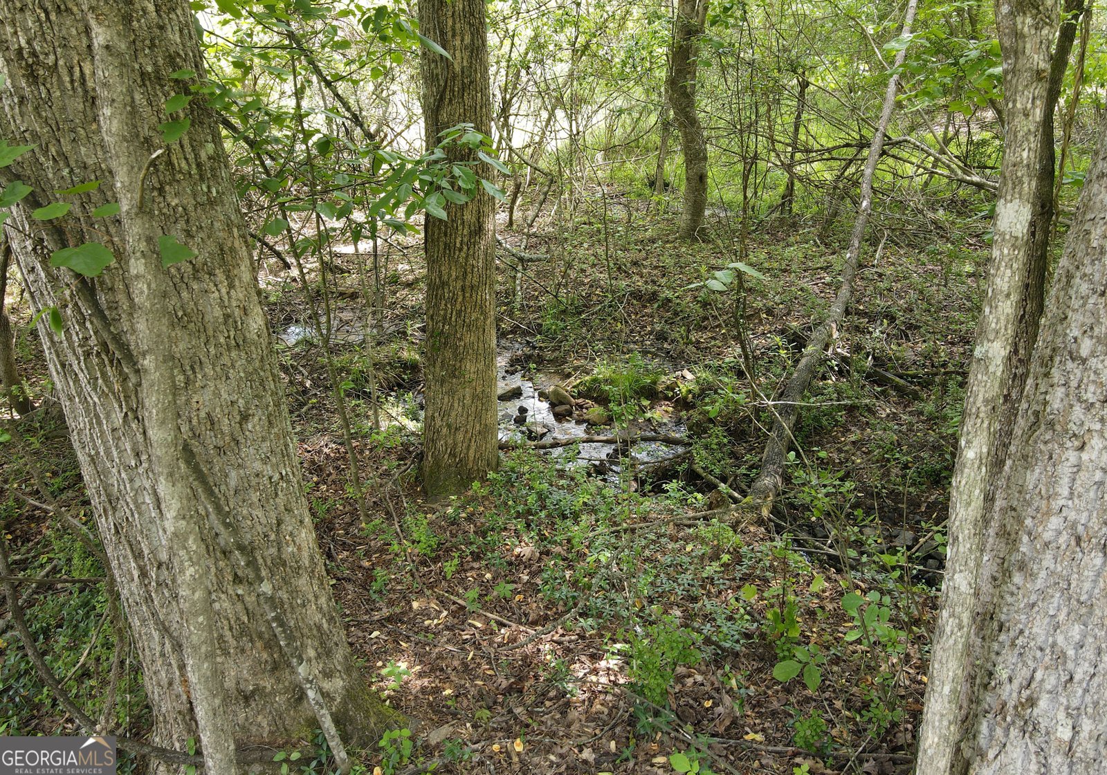 78 Reed White Drive Blairsville - 52