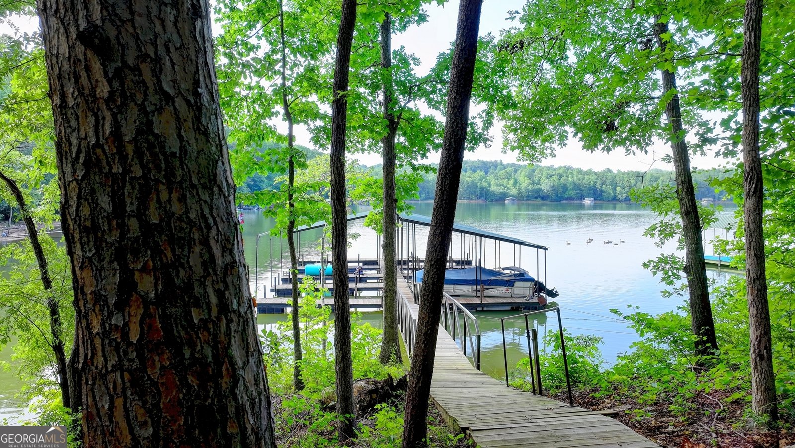 1228 Seven Forks Road Martin - 79