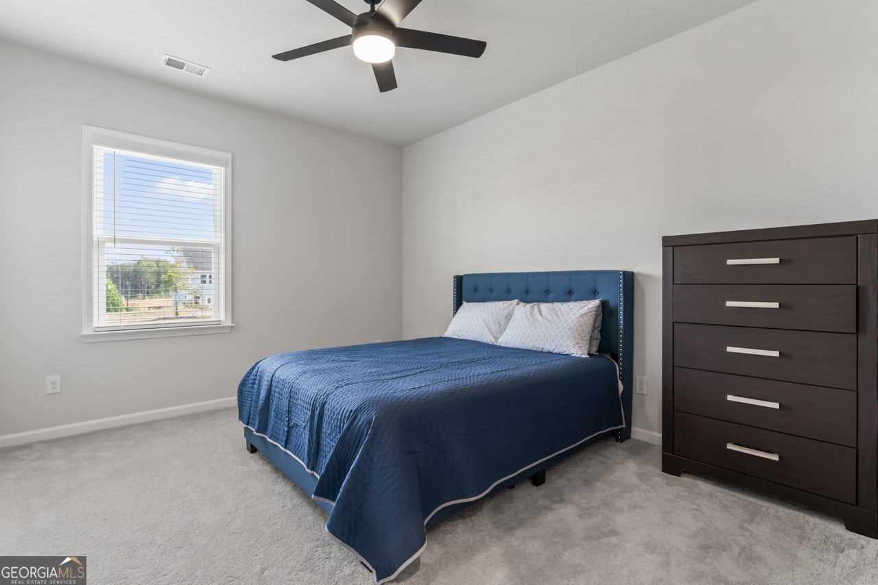 221 Begonia Way McDonough - 12